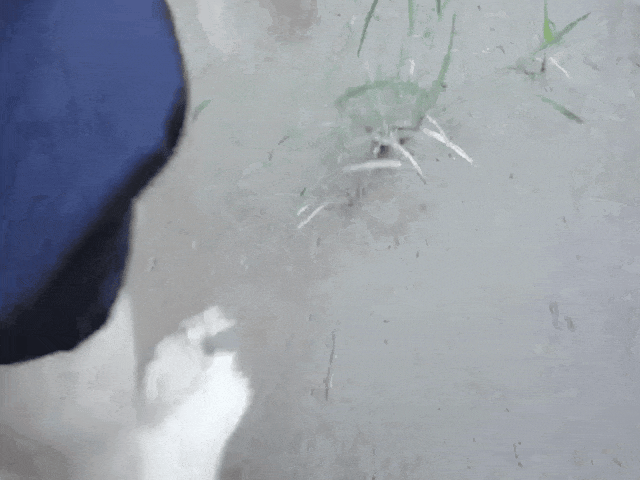 http://www.www.maihahacs.com/app-editor/ewebeditor/uploadfile/20250807/20250807102931926.gif